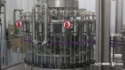 酸澀水果變身 致富果 ,小油柑如何 撬動(dòng) 大產(chǎn)業(yè)